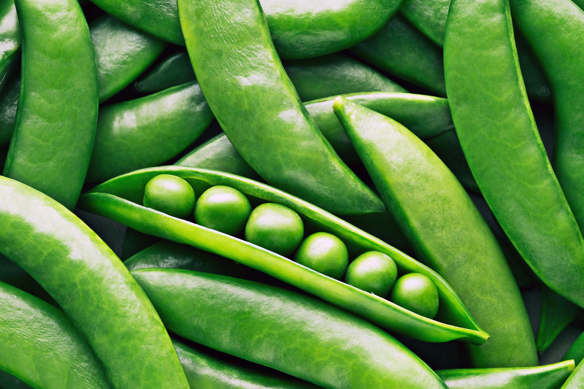 pea pods